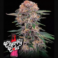 Cherry Cola Auto - FastBuds